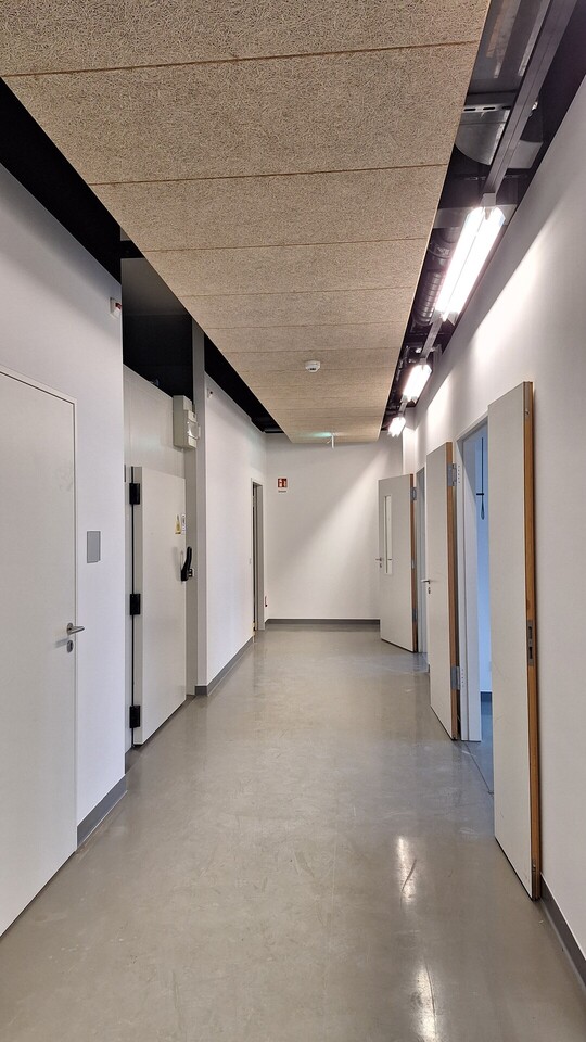 Korridorfläche