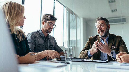 Team of business professionals having a meeting