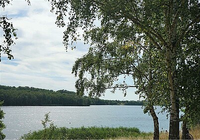 Aussicht auf den See von der Gewerbeimmobilie an der Lausener Straße 27-31A