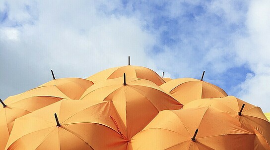 viele Regenschirme bilden einen Schutzwall