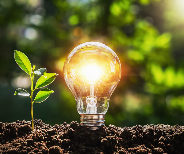lightbulb tree with sunlight on soil. concept save world and energy power Glühbirne steckt in Erde drin und leuchtet