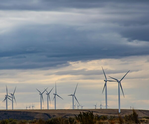 Windräder auf einem Feld unter bewölktem Himmel