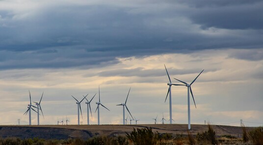 Windräder auf einem Feld unter bewölktem Himmel