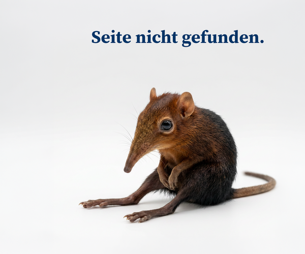 Fehlermeldung ‚Seite nicht gefunden‘ in blauer Schrift auf hellem Hintergrund, darunter ein trauriges Rüsselhündchen (ein kleines braunes Tier mit langem, spitzem Rüssel, großen Augen und langem Schwanz, das auf dem Boden sitzt).