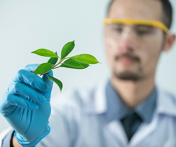 Laborarbeiter betrachtet Grünpflanze
