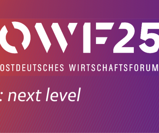 Logo des Ostdeutschen Wirtschaftsforum (OWF25): next level