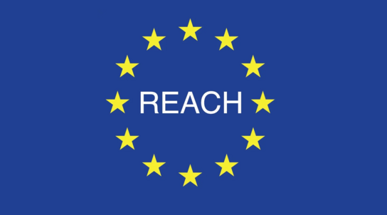 EU Fahne mit Buchstaben R E A C H in der Mitte