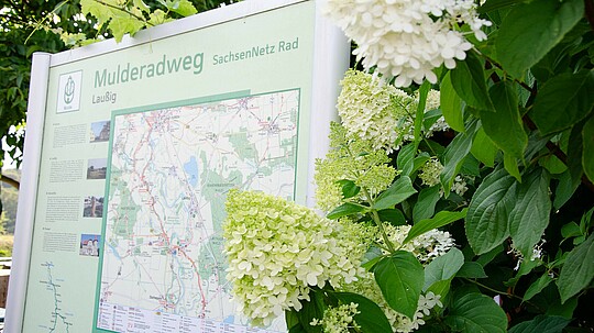 Karte vom Mulderadweg