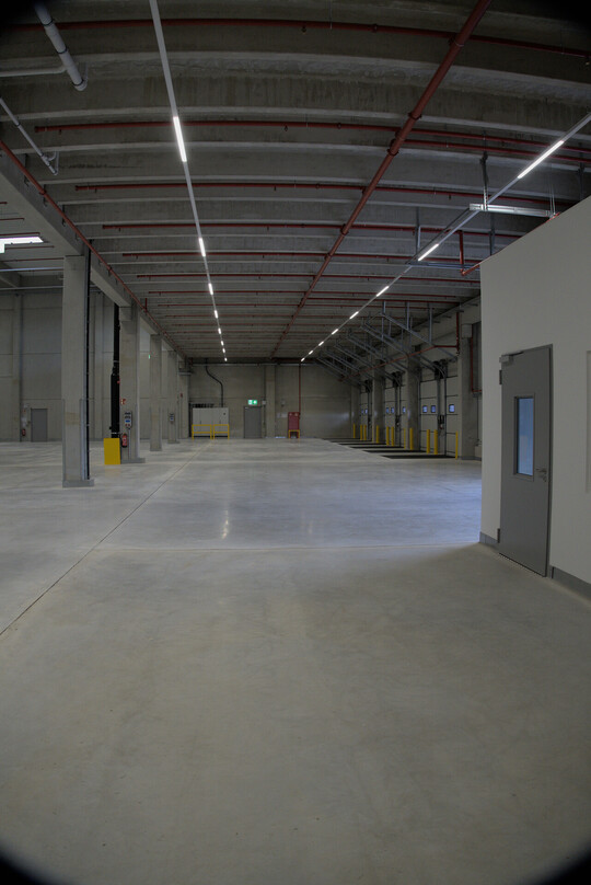 Rolltor auf Hallenseite