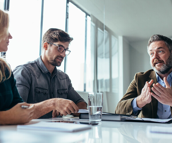Team of business professionals having a meeting