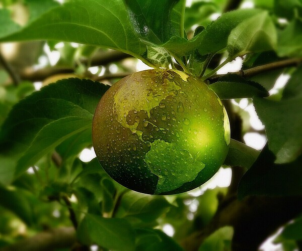 grüne Erdkugel wächst an einem Baum