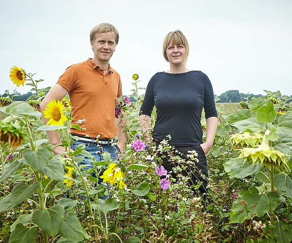 Robert Künne und Johanna Tschiersch von der Lerchenbergmühle stehen im Feld zwischen Sonnenblumen