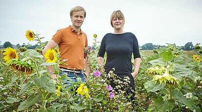 Robert Künne und Johanna Tschiersch von der Lerchenbergmühle stehen im Feld zwischen Sonnenblumen