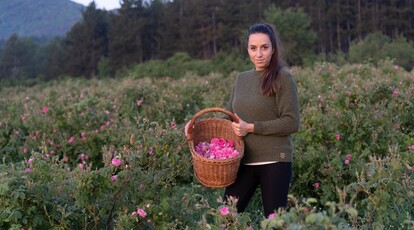 Diana Deltschew steht zwischen den Rosen mit einem Erntekorb